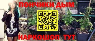 молекула духа Шелехов