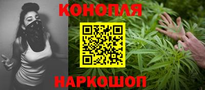 молекула духа Шелехов