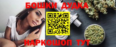молекула духа Шелехов