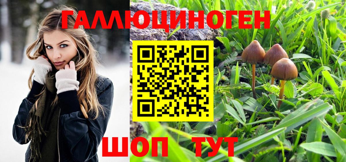 Галлюциногенные грибы прущие грибы Великие Луки