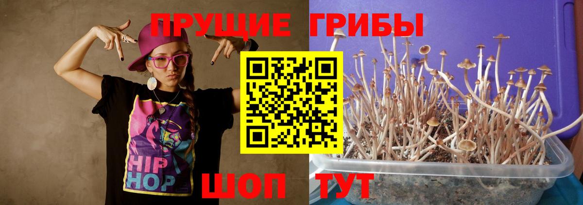 Великие Луки  Галлюциногенные грибы Psilocybe  купить наркотики цена  Псилоцибиновые грибы Magic Shrooms  Вход с VPN 